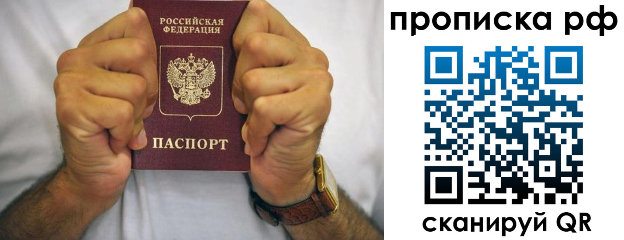прописка регистрация в Амурской области